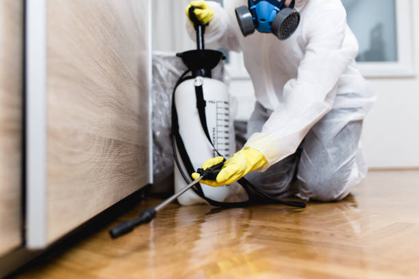 Best Insect Control  in St Augustine, FL