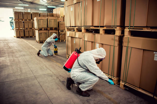 Best Ant Control Services  in St Augustine, FL