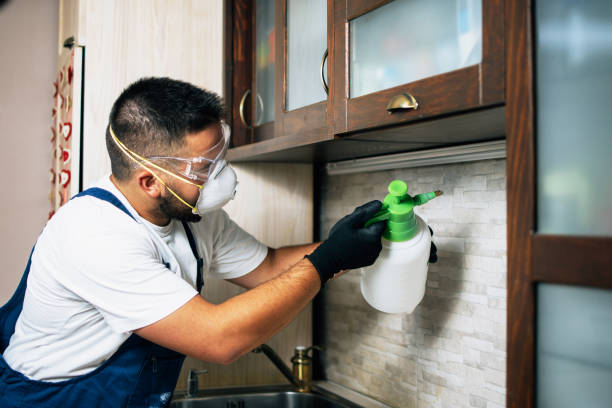 Best Bed Bug Extermination  in St Augustine, FL
