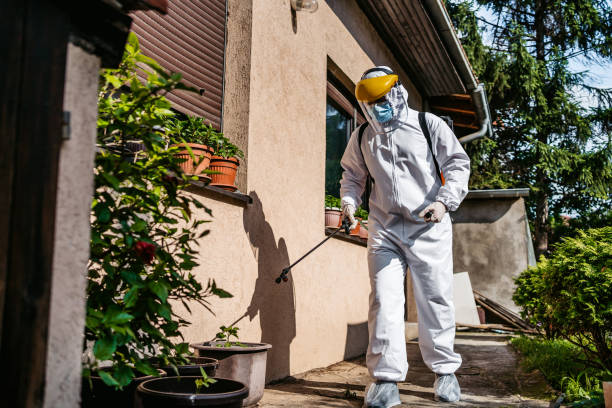Best Pest Inspection Near Me  in St Augustine, FL