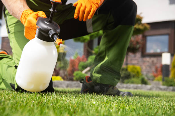 Best Best Pest Control Companies  in St Augustine, FL
