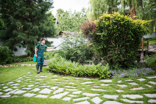 Best Pest Control Treatment  in St Augustine, FL