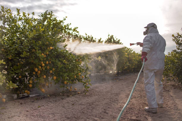 Best Best Pest Control Companies  in St Augustine, FL
