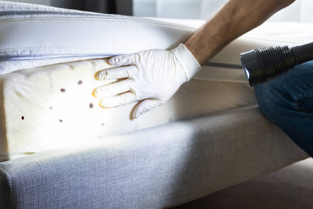 Best Commercial Pest Control Services  in St Augustine, FL