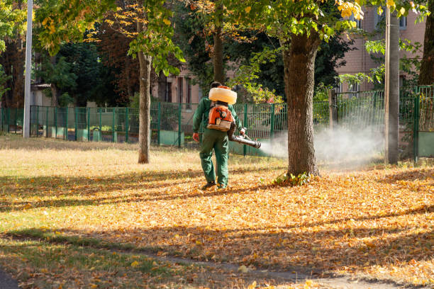 Best Wasp Removal Services  in St Augustine, FL