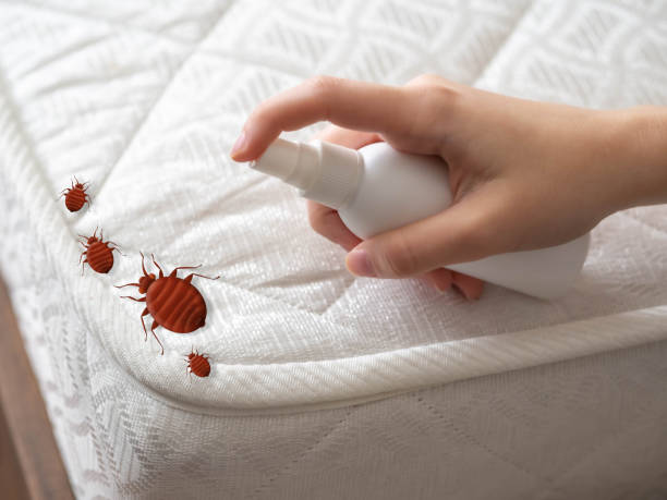 Best Commercial Pest Control Services  in St Augustine, FL