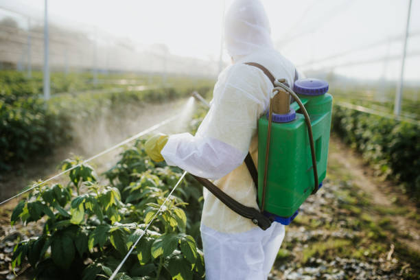 Pest Prevention Services in St Augustine, FL